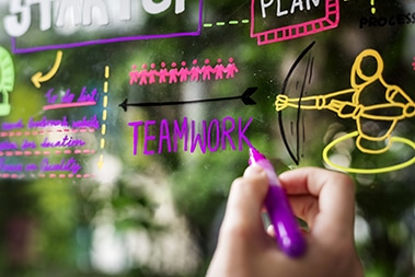 white label wordpress development services