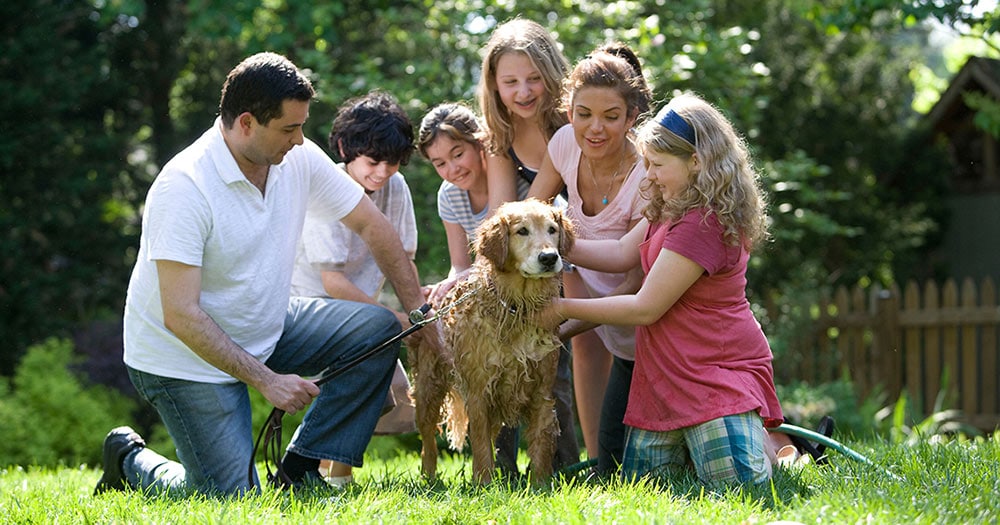 Stress free website maintenance plan benefits